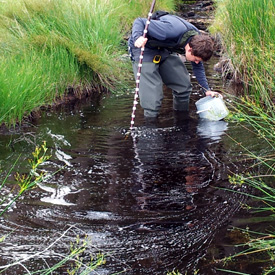 Cameron Cosgrove surveying a ‘new for science’ pearl mussel population on Forestry Commission Scotland ground in the north of Scotland (© Peter Cosgrove.).